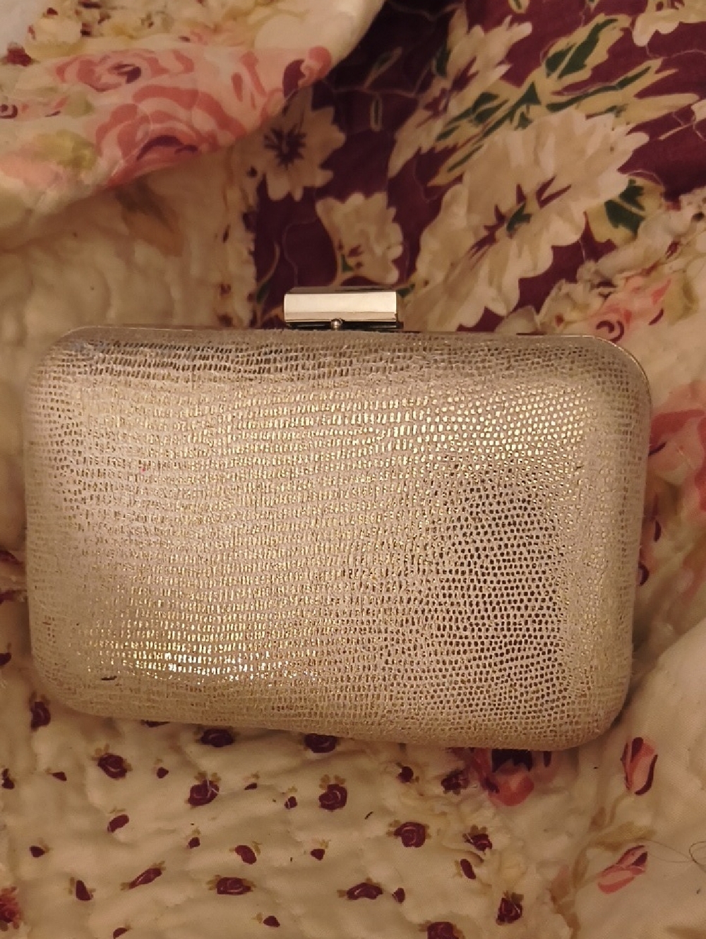 NWOT Silver Carolee New York Case.
